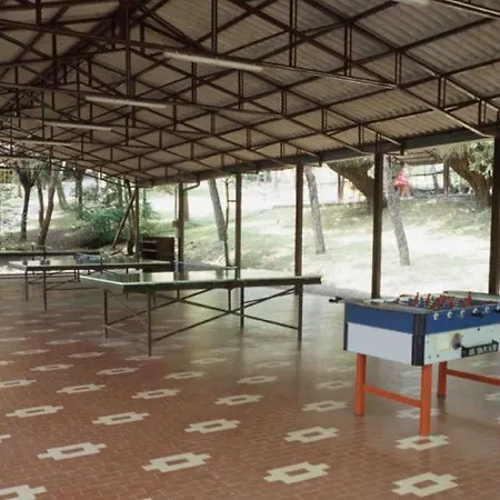 Arizona Salsomaggiore Terme